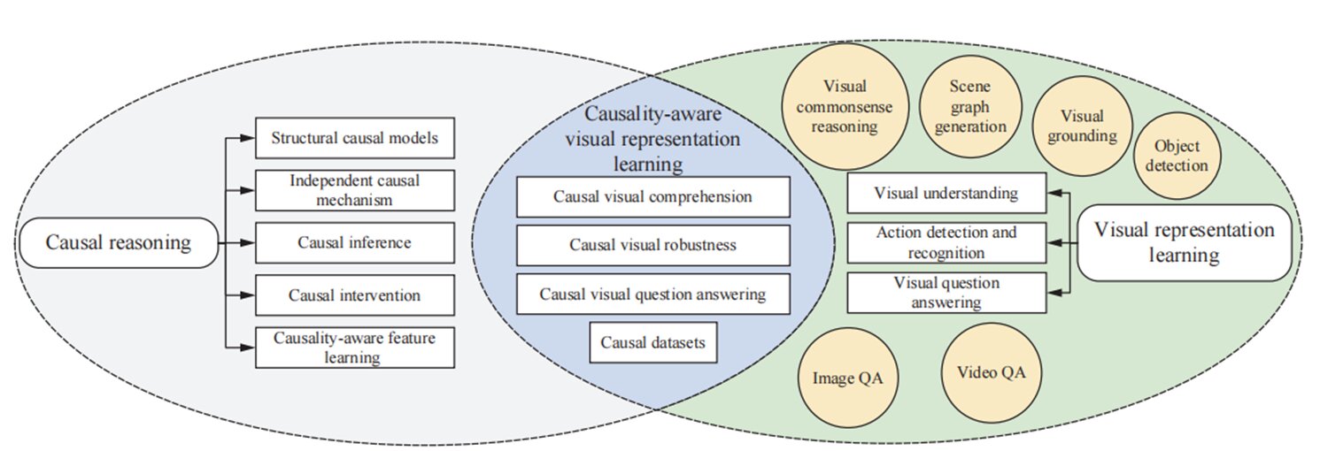 The Encounter Between Causal Inference And Visual Representation Learning: A