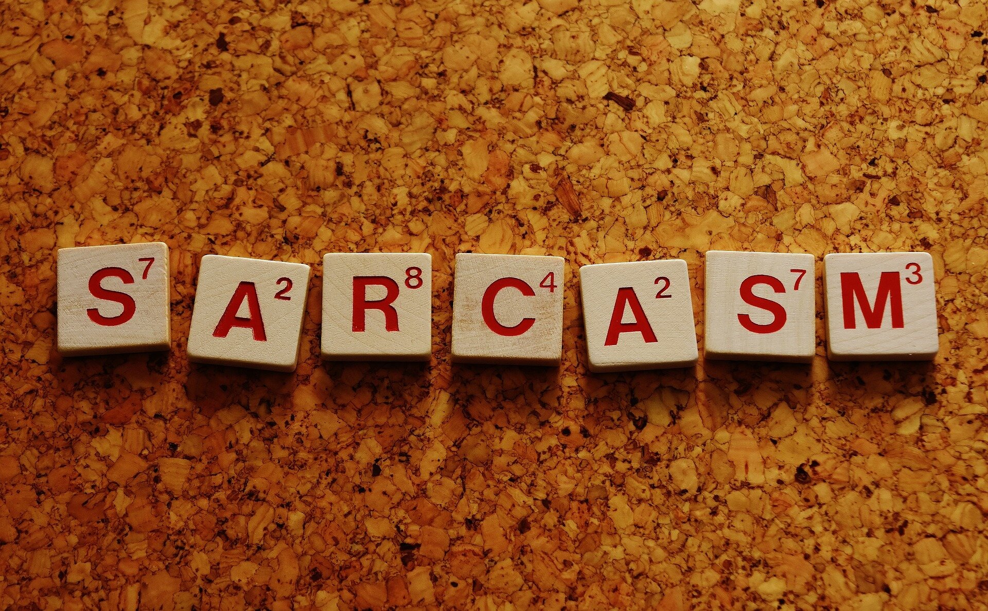 Can Large Scale Language Models Detect Sarcasm?