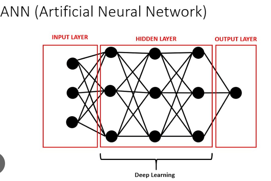 Building Your First Deep Learning Model: A Step By Step Guide |